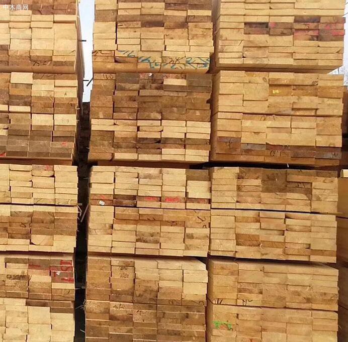 上海宝寨木业新西兰辐射松烘干板材高清图片