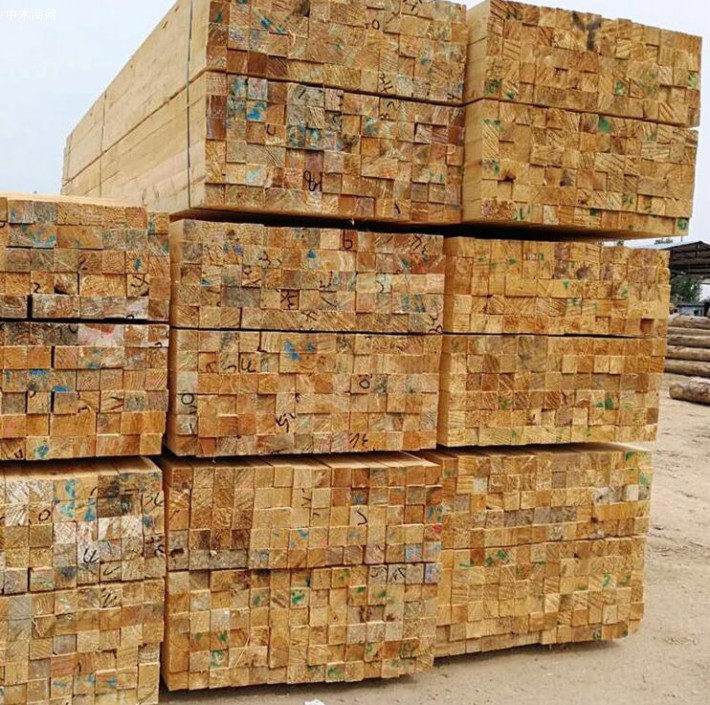 上海宝寨木业新西兰辐射松烘干板材高清图片厂家