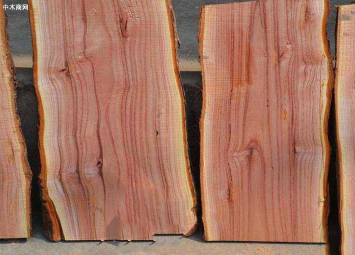 香椿木板材与香椿木烘干板高清图片