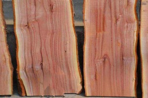 香椿木板材价格和香椿木烘干板价格多少钱一立方米图2