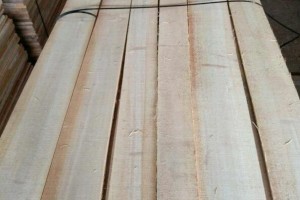 河南金龙木业白杨木家具烘干板材最新报价,白杨木烘干板材批发图2