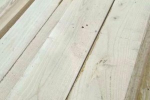 自产自销白椿木板材,白椿木烘干板材批发价格