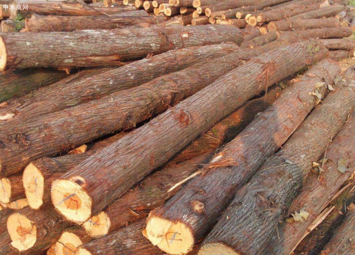 本地优质的红心香柏木原木大量供应