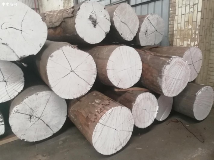 南美洲亚马逊花梨木原木大方料厂家直销价格
