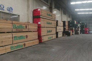 北美洲红橡木烘干板材厂家批发