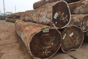 生产厂家批发非洲红花梨原木材各种规格均可定制加工