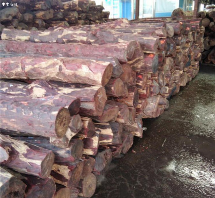 赞比亚紫檀是不是红木?赞比亚紫檀原木价格多少钱一吨?