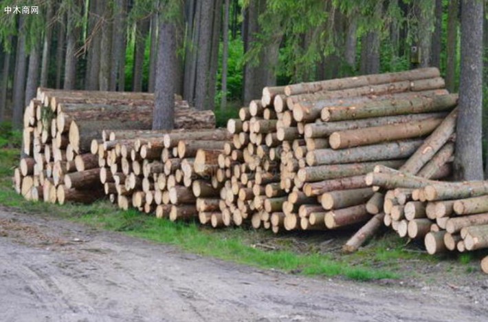 国家林科院木材所牵头制定产业精准扶贫标准，助推脱贫攻坚