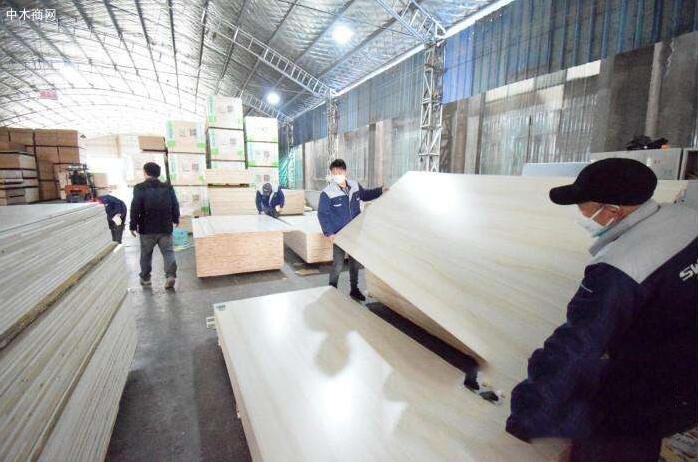 安徽省宿州市顺河乡板材加工企业恢复正常生产
