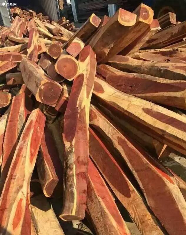 赞比亚血檀原木大方批发价格
