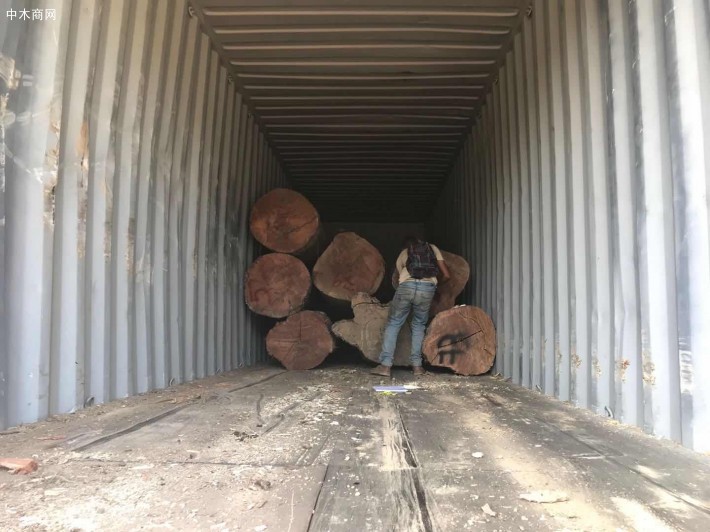 300吨红檀香原木现货1年左右干料低价出售厂家