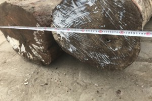 阔变豆原木原产地直销图3