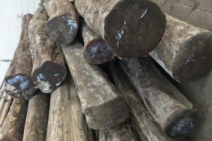 阔变豆原木大枋多少钱一立方米图2