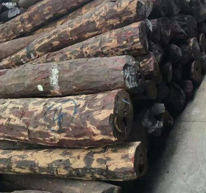 精品赞比亚血檀原木厂家批发价格
