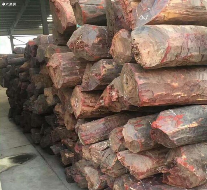 赞比亚血檀原木厂家供应