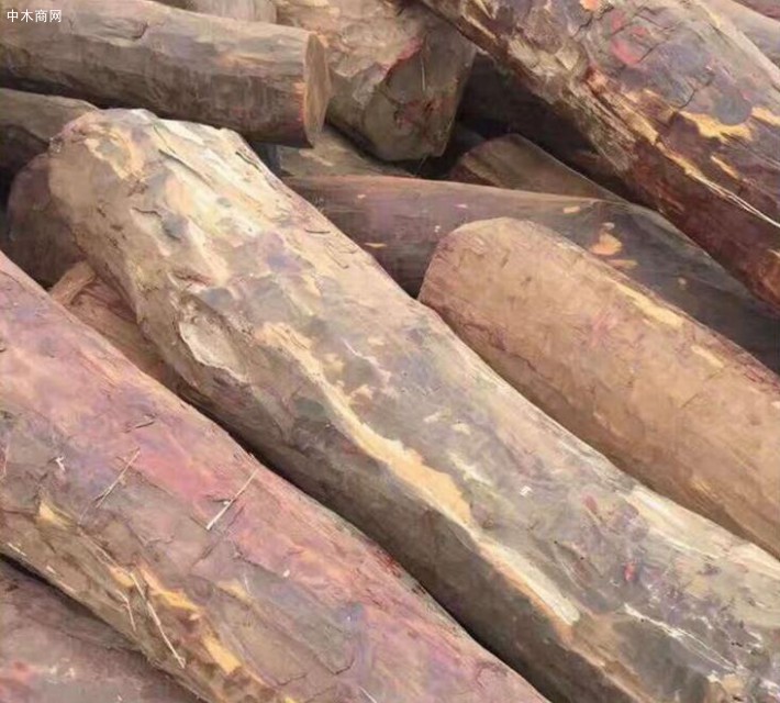 赞比亚血檀原木批发价格