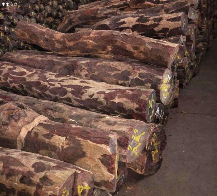 供应赞比亚血檀原木价格多少钱一立方米