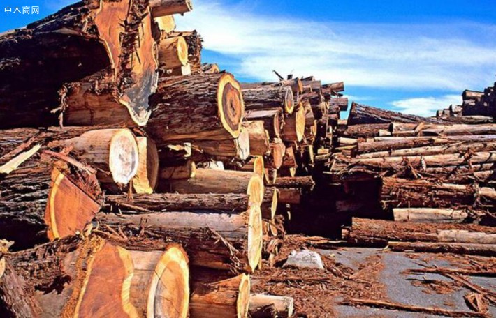 贵港金融支持推动木材企业复工复产