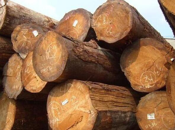 各种规格北美洲铁杉原木长期大量供应