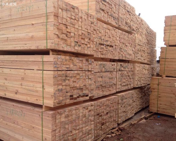 东莞建筑木方生产厂家批发价格