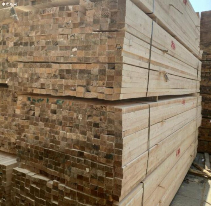 河北邯郸磁县消防救援大队开展木材加工和家具生产企业消防安全检查