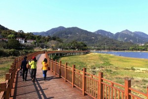 防腐木实木板材,庭院花园阳台地板,公园木栈道厂家直销