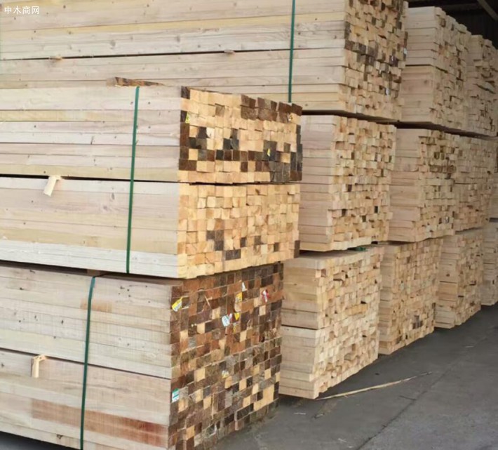 内蒙古满洲里市领导走访调研木业企业
