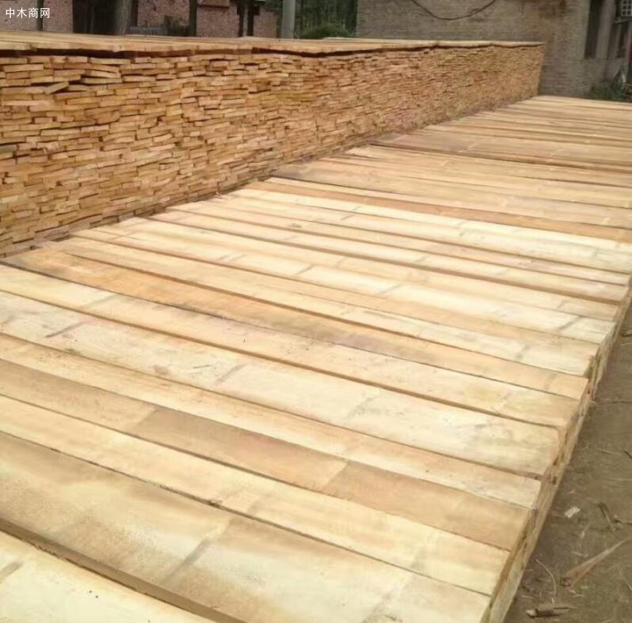 白杨木烘干板材2.6米长自然宽厂家直销