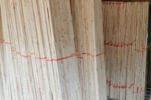 桂林香杉木生态拼板板芯料厂家批发价格