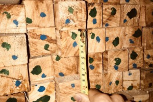 海南橡胶木方条,家具木板材,橡胶木木方,楼梯立柱料,防腐烘干木条图2