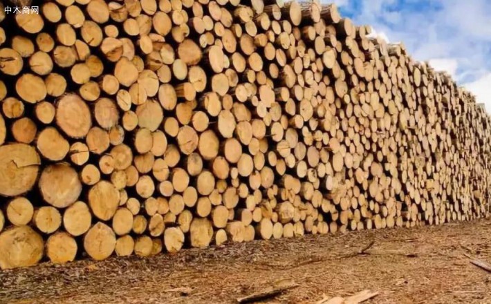 2019年中国进口热带原木木材919万立方米