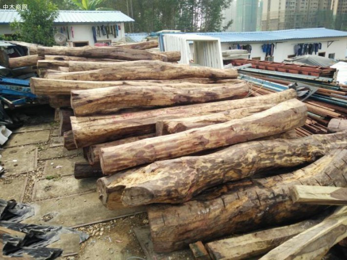 红木老挝大红酸枝原材料批发