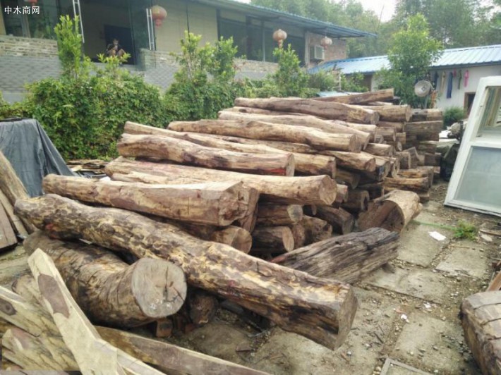 红木老挝大红酸枝原材料批发图片