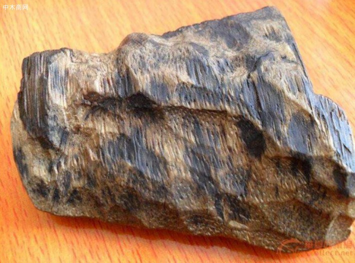 文莱沉香的特点