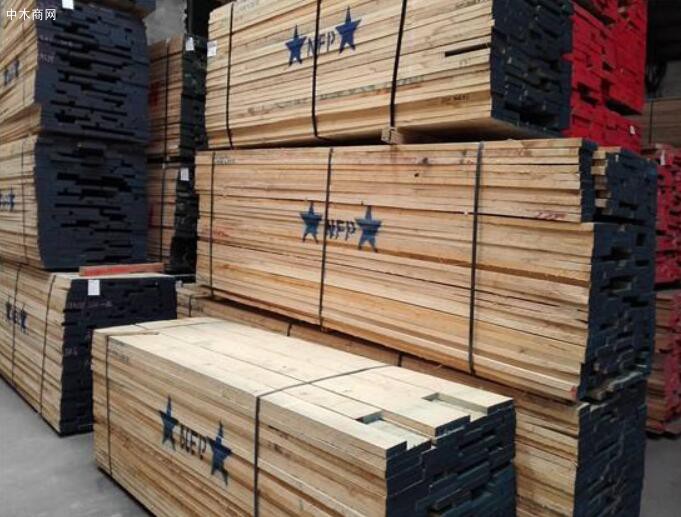 张家港李氏木业进口美国红橡木板材高清图片