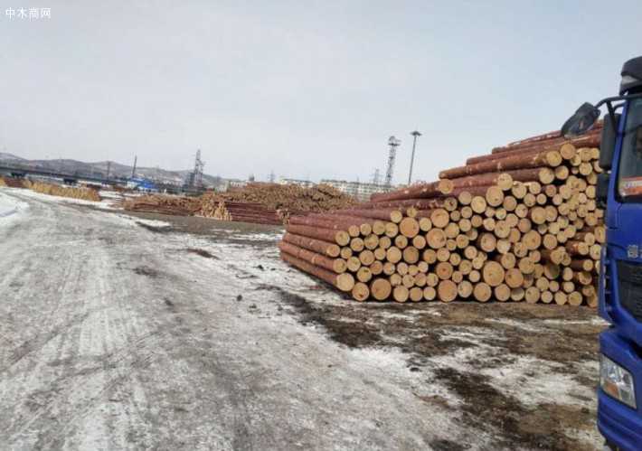 俄罗斯远东地区1-2月木材原木出口量下降27.4%
