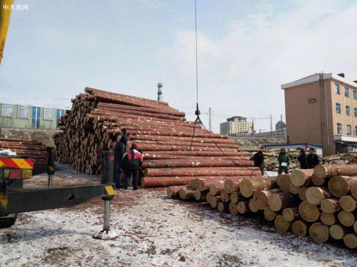 俄罗斯联邦工贸部提议将2020年远东森林木材出口关税配额增加1.5倍