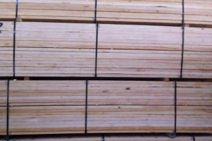 高等级无节辐射松木板材批发价格