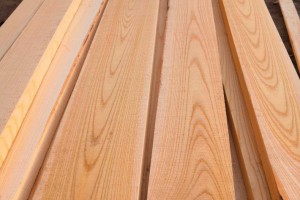 白杨木烘干板材,椿木烘干板材,榆木烘干板材首选博达木业图2