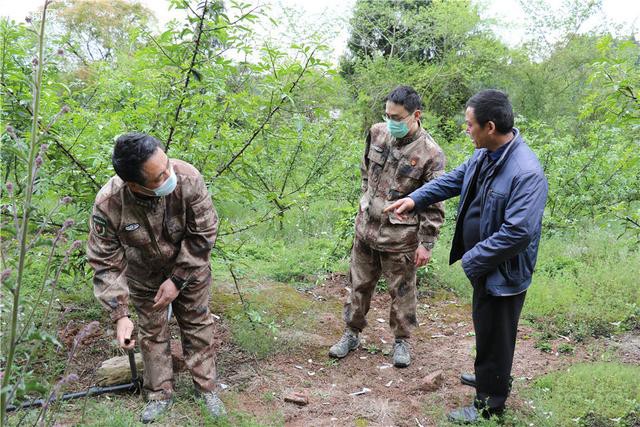 青花椒树里彰显浓浓爱民情,雁江区人武部打通扶贫“比较后一公里”图片