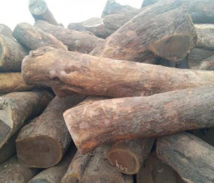 安哥拉紫檀原木,红高棉原木价格多少钱一吨_2020年4月12日