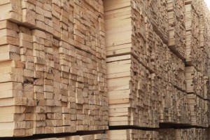 专业生产樟子松建筑木方木材批发
