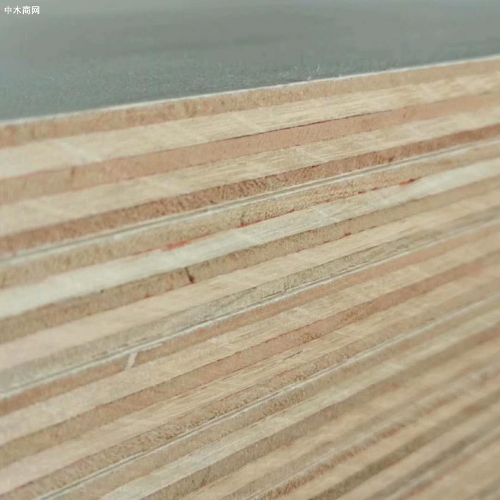 真成木业南美KONEI夹板,平整挺度够,尺寸足,适用广,经济超值