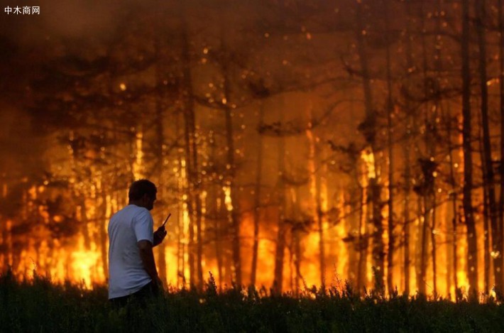 有俄学者认为俄罗斯森林火情可能会加大新冠病毒防疫难度