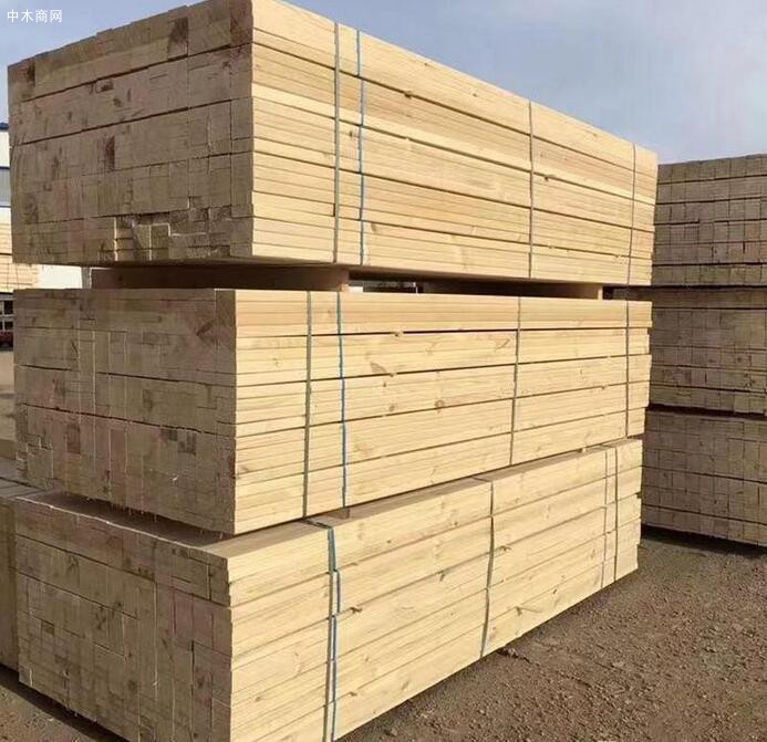 樟子松板材好不好?樟子松板材的优缺点有哪些?