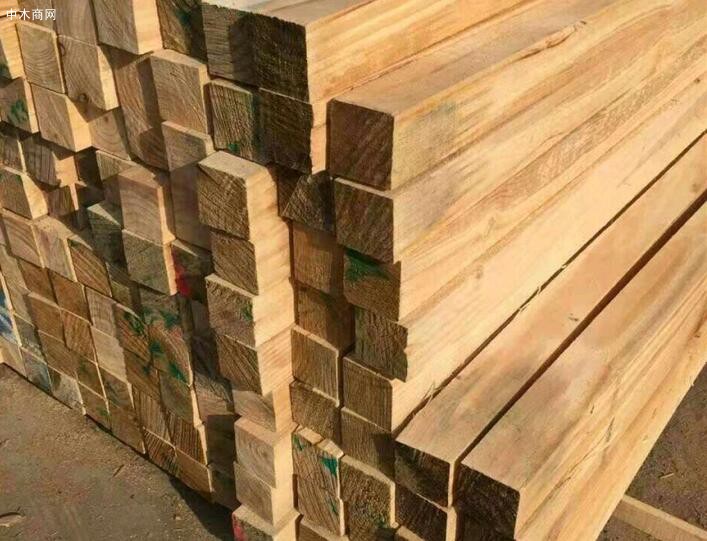 中国林产品公司加大澳洲材,南美材,北美木材的采购力度