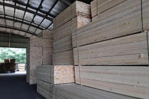 赣州国际木材集散中心项目建设跑出加速度