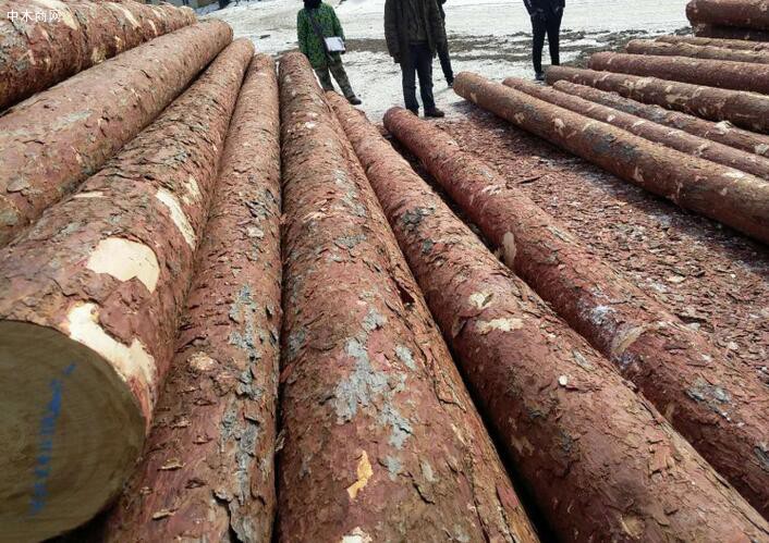 赣州国际原木板材集散中心项目建设跑出加速度