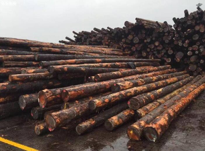 加拿大主要木材生产商几乎所有的低档产品指定运往中国