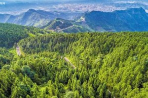 《国家林业和草原局2020年安全生产工作要点》近日印发